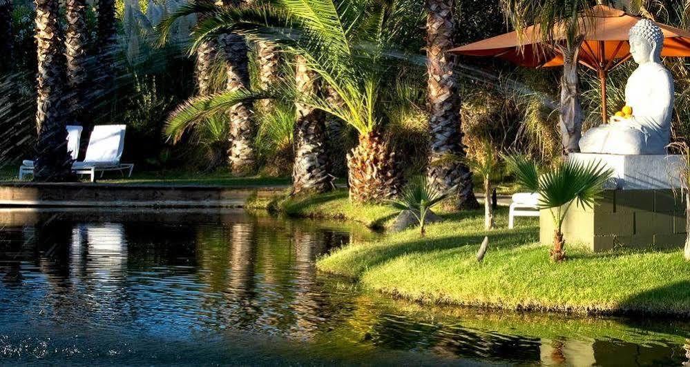 Indian Springs Resort & Spa كاليستوغا، نابا، كاليفورنيا المظهر الخارجي الصورة